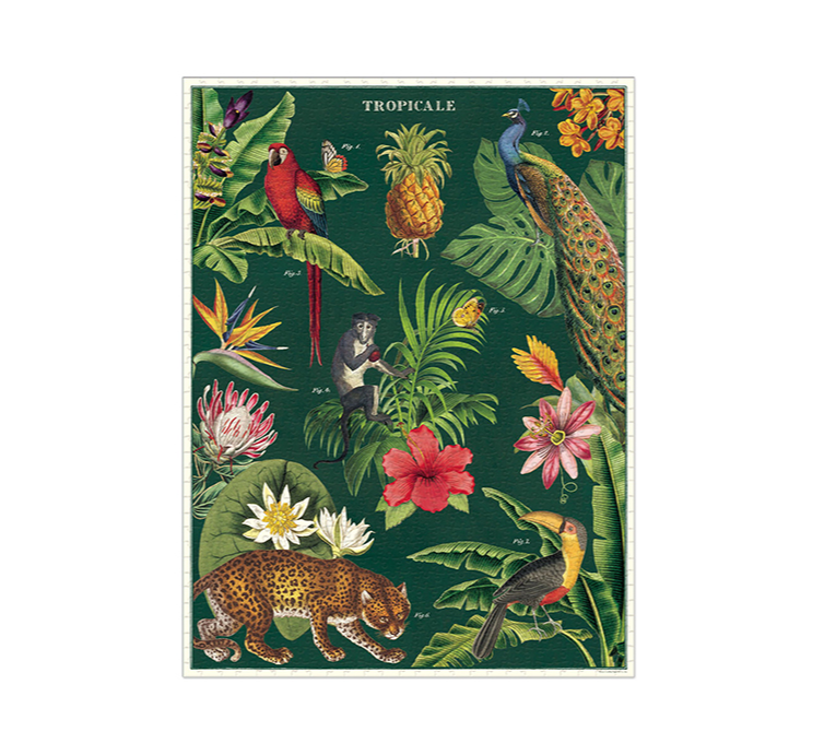 JUNGLE